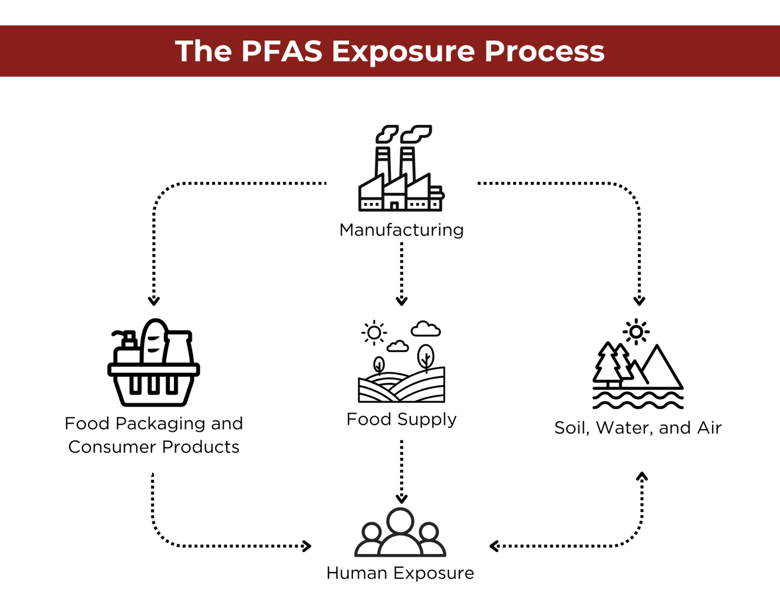 What Are PFAS Chemicals and How Do They Impact Your Packaging? Gamer